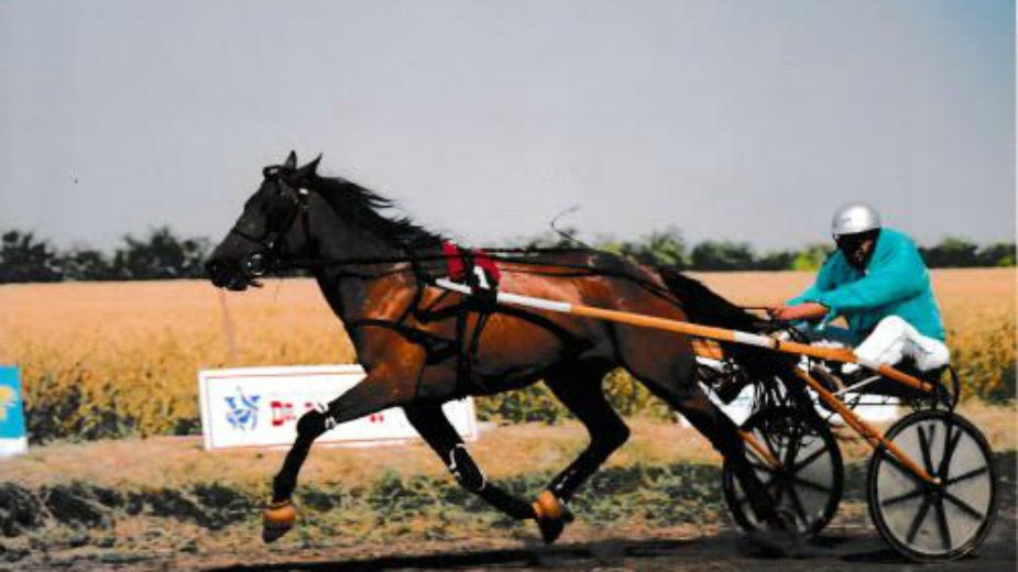 Čime se političari bave kada se odmaraju od politike? 2 Čime se političari bave kada se odmaraju od politike? 2