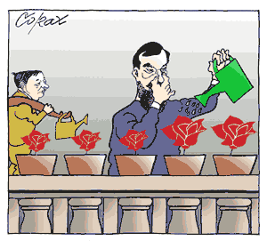Corax 15