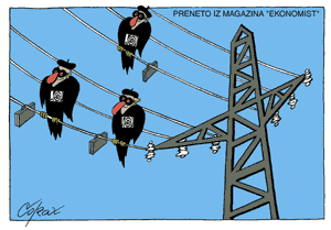 Corax 10