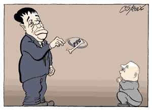 Corax 6