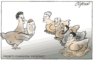 Corax 6