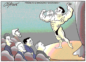 Corax 14