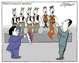 Corax 7