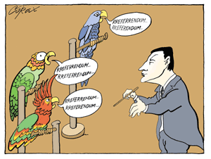 Corax 11