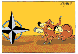 Corax 10