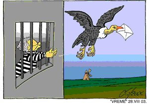 Corax 9