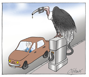 Corax 13