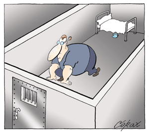Corax 6