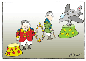 Corax 8
