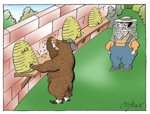 Corax za ponedeljak 07.03.2005 1