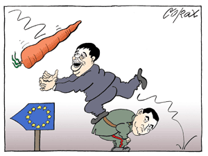 Corax 14