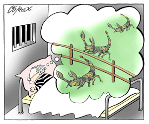 Corax 10