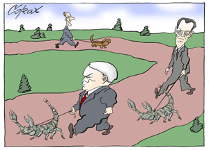 Corax 7
