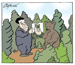 Corax 8