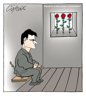 Corax 13