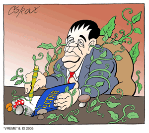 Corax 5