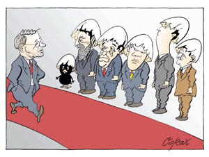 Corax 15