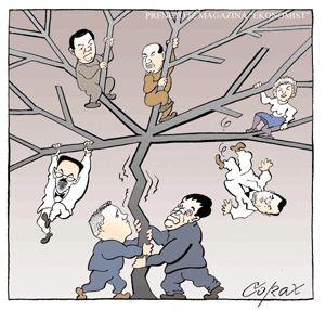 Corax 2