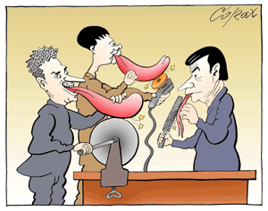 Corax 14