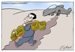 Corax 11