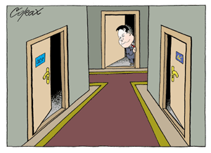 Corax 8
