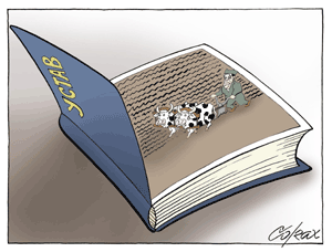 Corax 15