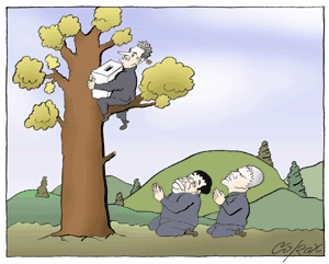 Corax 4