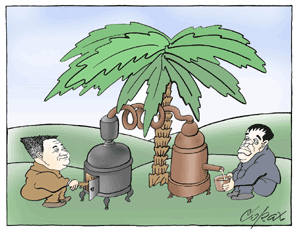 Corax 7