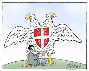 Corax 11