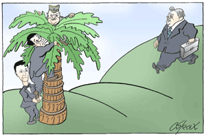 Corax 8