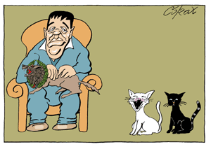 Corax 14