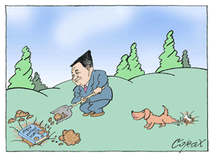 Corax 14
