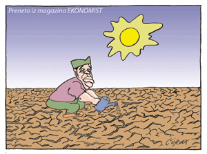 Corax 13