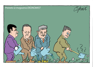 Corax 7