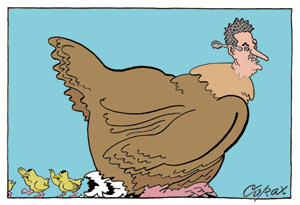 Corax 9