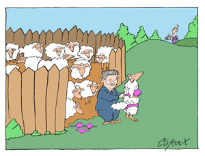 Corax 8