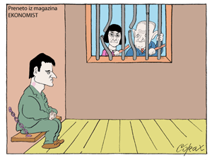 Corax 7