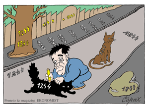 Corax 12
