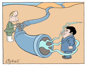 Corax 7