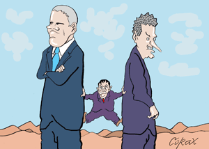 Corax 15