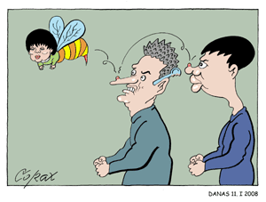 Corax 8