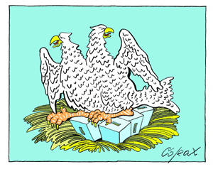 Corax 9
