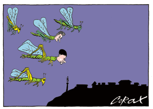 Corax 10