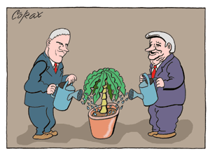 Corax 9
