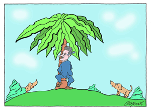 Corax 12