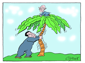 Corax 10