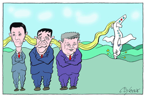 Corax 15