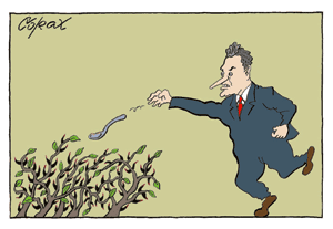 Corax 8