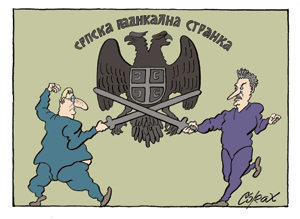 Corax 6