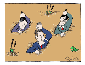 Corax 12